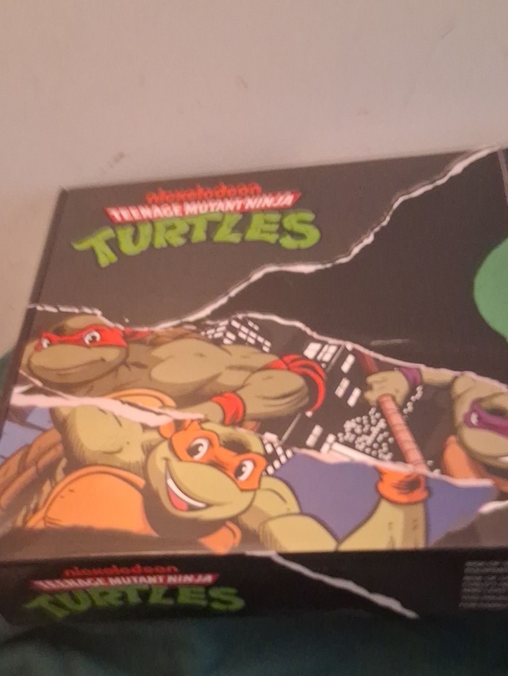 NinjaTurtle saucer swing
